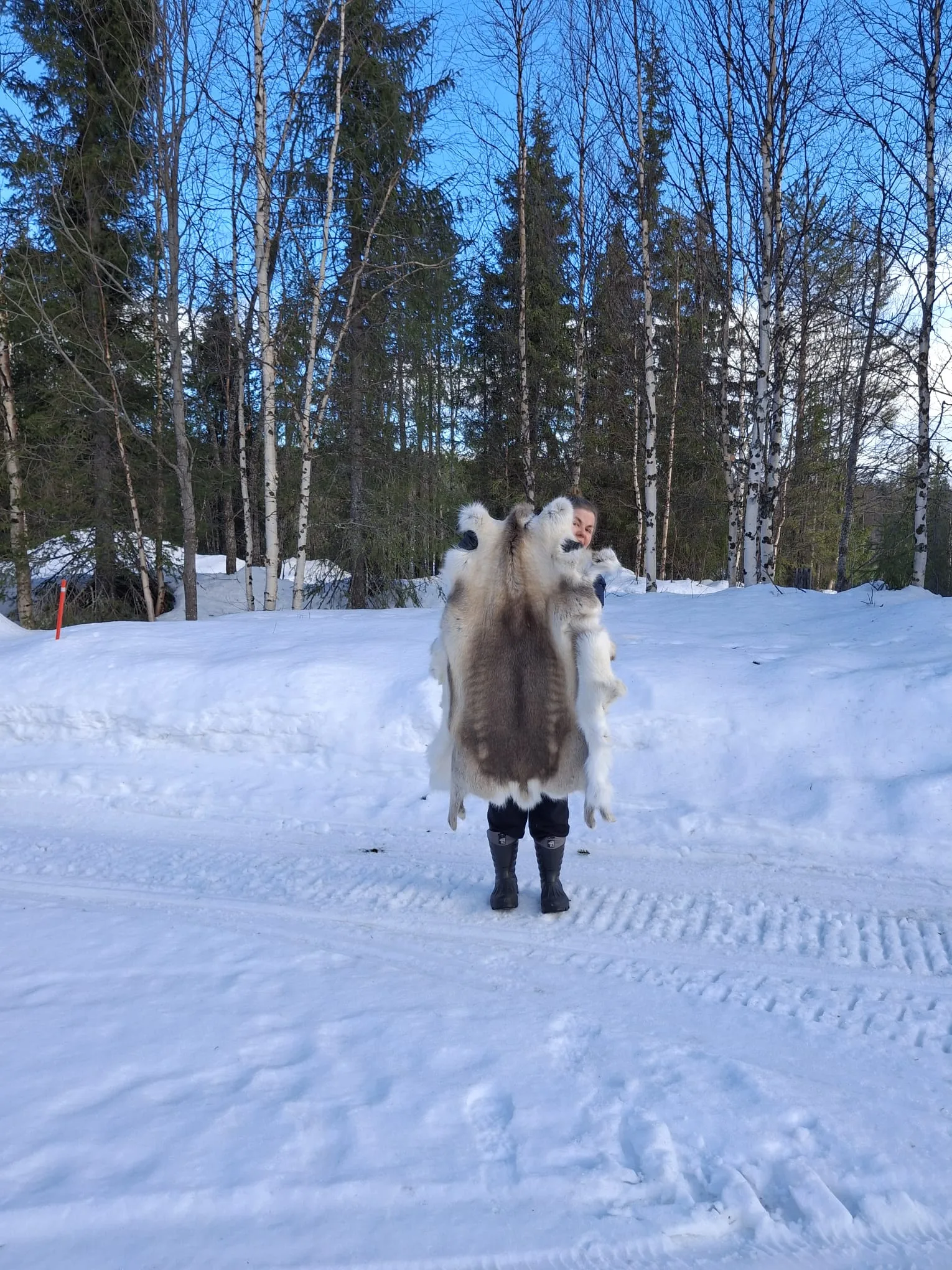 Kirsi holding a reindeer hide